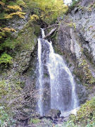 �Y�u���̑�