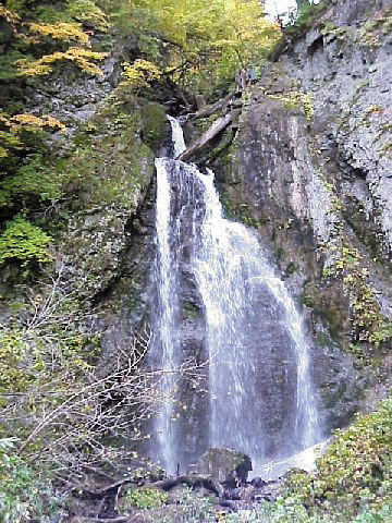 �Y�u���̑�