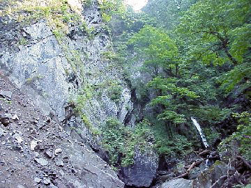 ��䖋�Ɣ���