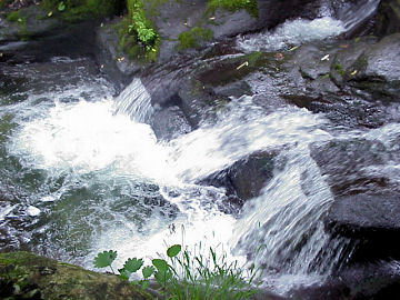 �~����i���m����j