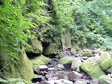 �~����i���m����j