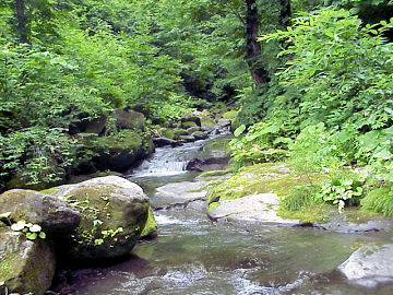 �~����i���m����j