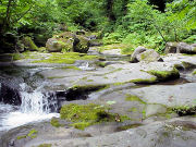 �~����i���m����j