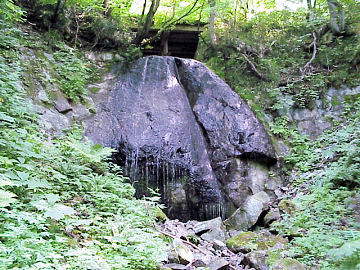 ������̑�