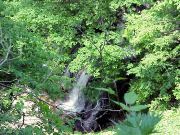 ���q��̑�