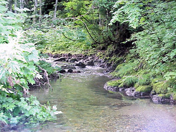 ��J������t��