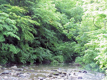 �閾����̐���