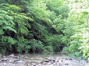 �閾����̐���