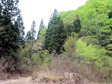 �^���R�z�R��