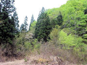 �^���R�z�R��