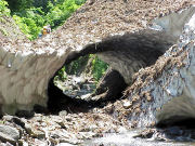 �g���l��������Ă͂Ȃ�Ȃ�