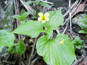 �I�I�o�L�X�~��