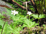 �j�����\�E