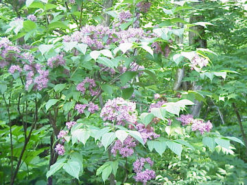 �^�j�E�c�M