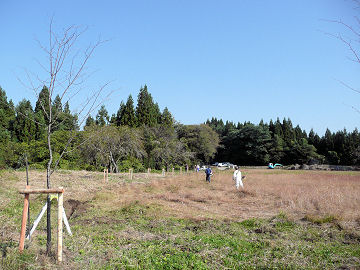 ����22�N10��20���B�e