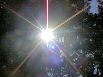 ���̌���