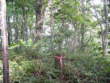 �̋��̎R�u�O�m�x�v