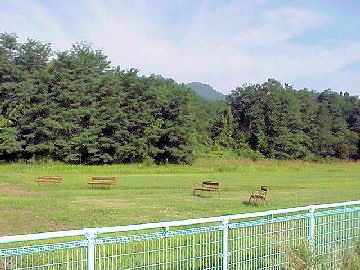 �Z�ɐՂƍZ��