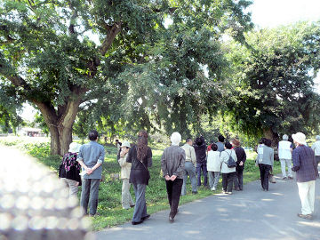 ���p�X���^�����̕v�w�T�C�J�`