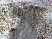 ���ӕ��̕���