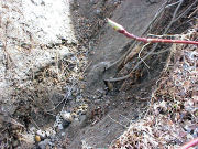 ���ӕ��̕���