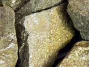 ���v�J��ւ̕����t�߂̉͏��̊��