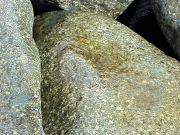 �哒���͌��t�߂̉͏��̊��