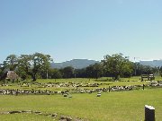 �哒����