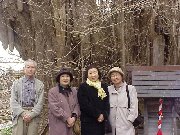 ���򎛂̑�C�`���E