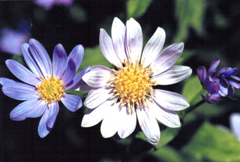 �~���R���X��