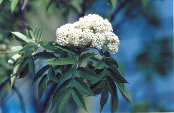 �i�i�J�}�h