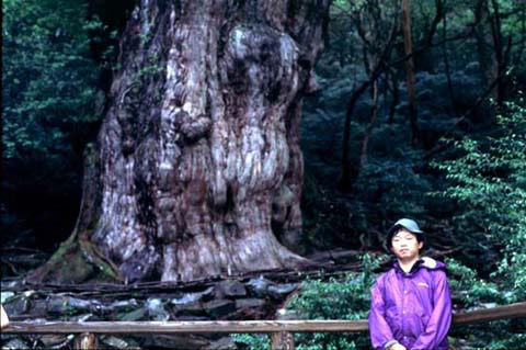 �ꕶ���ƕM��