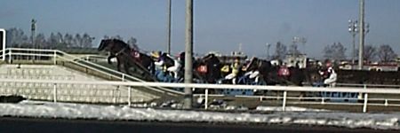 ��Q���z����Ƃ���