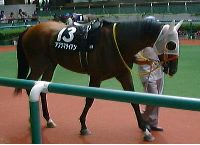 �A�u�N�}���C�A��