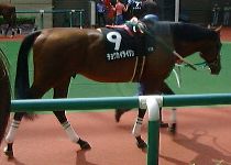 �`���E�J�C���C�W��