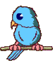 bird02