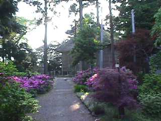 �ƂĂ��ό��n�Ƃ́E�E�E�����Ȃ�(^-^;;