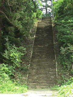 �����A���i����̂ł��傤���H