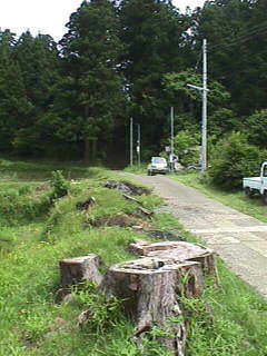 ���̌Ö؂��Q��������Ă����̂��E�E�E�̂͂ˁB