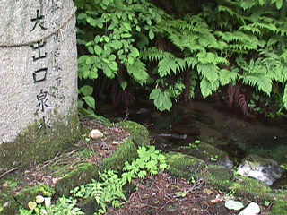 この石碑の裏側に、湧き口がある