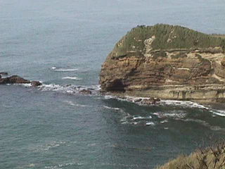 ���Y���i�̈ꕔ�E�E�E�Ă��ۂ��H