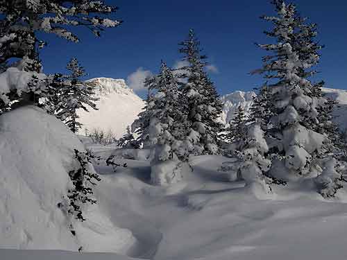 十勝岳温泉付近