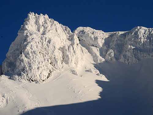 純白の八つ手岩