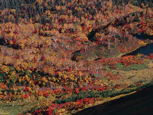 秋色の高原温泉