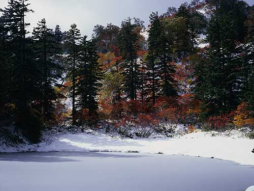 雪化粧の滝見沼