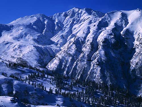 三段山崖尾根から富良野岳