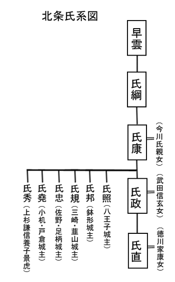 北条 氏康 家 系図