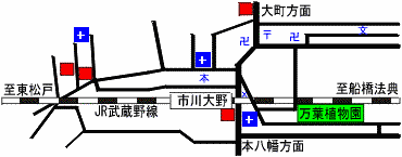 Station Map