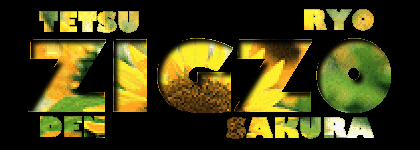 ZIGZO.logo