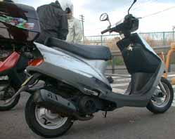 ���̔��͗ǂ����肻�����E�E�E�B